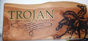 Hand-painted driftwood sign by Think Tank signwriters